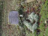 image of grave number 795247